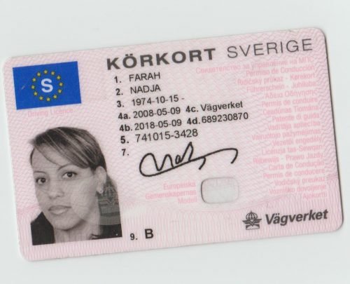 Swedish Drivers license