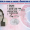 Buy Belgian Drivers Licence Online
