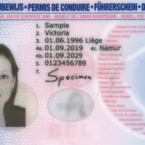 Buy Belgian Drivers Licence Online