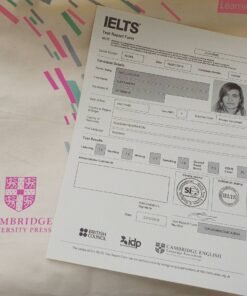 IELTS TOEFL TOEIC