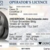 Buy Canadian Drivers Licence Online
